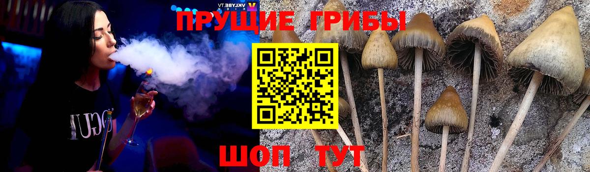 Комсомольск-на-Амуре  Псилоцибиновые грибы Cubensis  Вход с VPN  Галлюциногенные грибы прущие грибы 