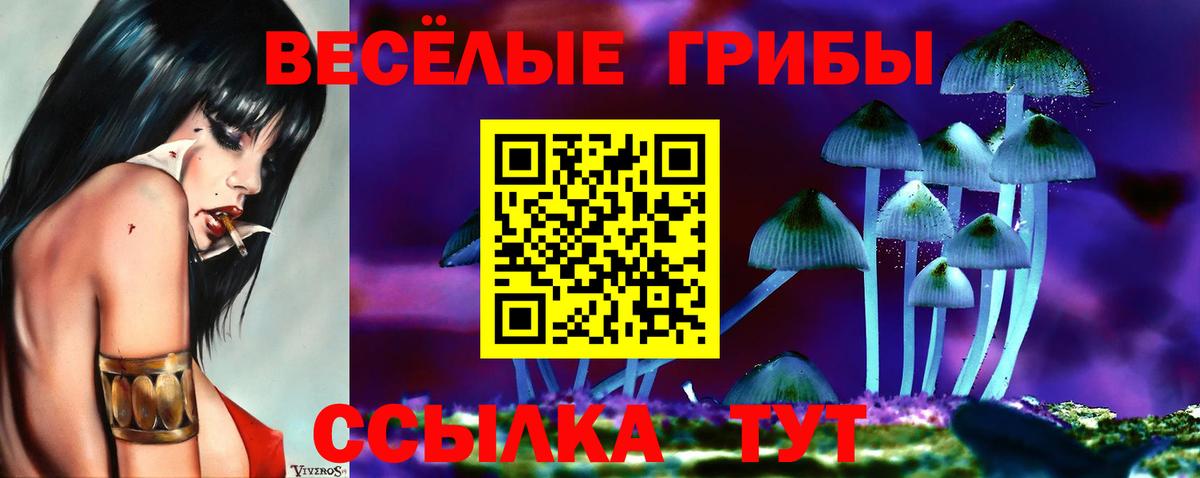 Галлюциногенные грибы Cubensis Комсомольск-на-Амуре